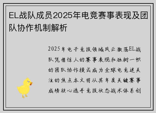 EL战队成员2025年电竞赛事表现及团队协作机制解析